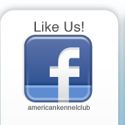 Like Us on Facebook