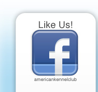 Like Us on Facebook