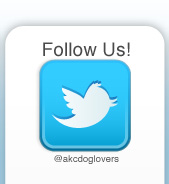 Follow Us on Twitter