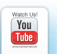 Link Us on YouTube