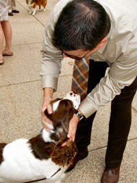 Dog Federation of Wisconsin
