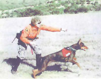 Rosemary Redditt
