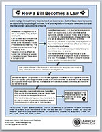 How a bill becomes a law.
