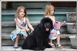 Newfoundland