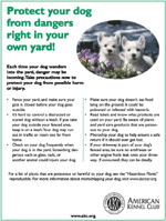 Protect your dog from dangers right in your own yard!