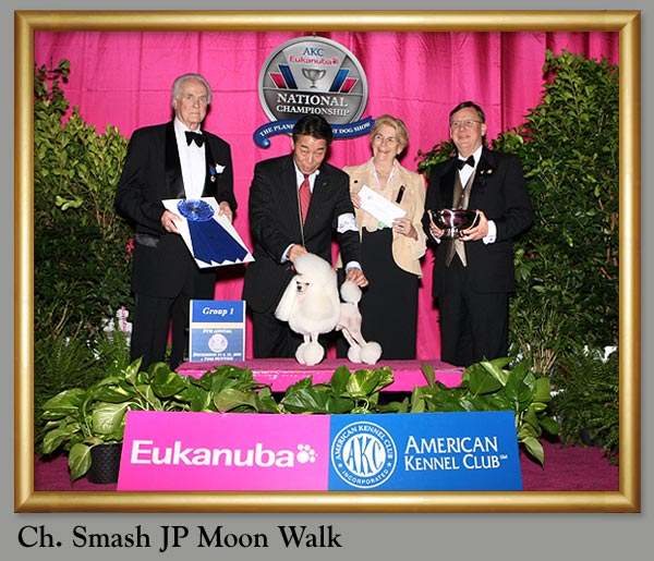 Ch. Smash Jp Moon Walk