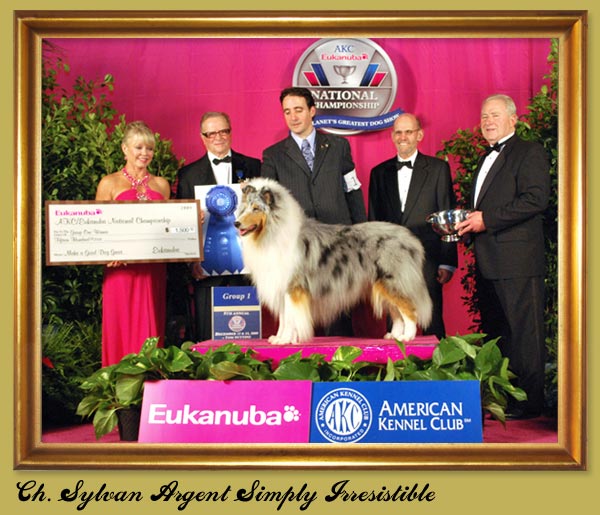 Ch. Sylvan Argent Simply Irresistable