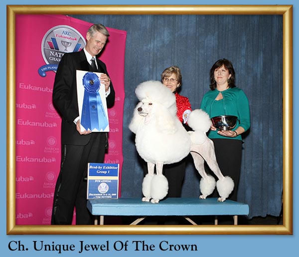 Ch. Unique Jewel of the Crown