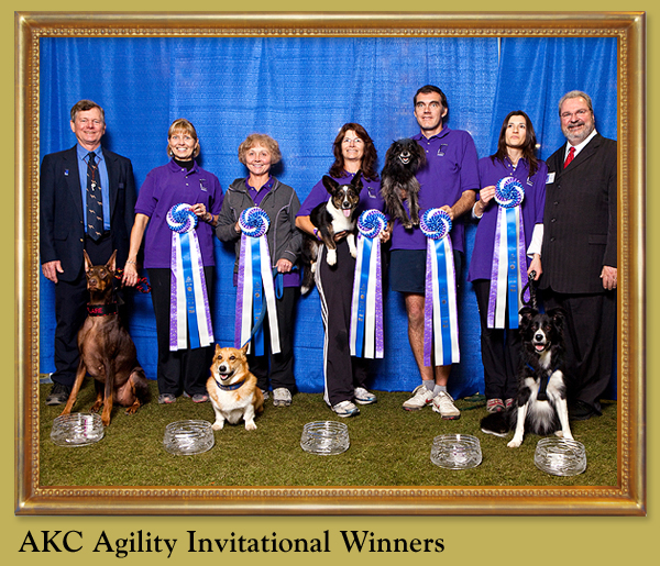 AKC Agility Invitational Winners