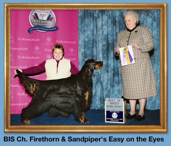 BIS Ch. Firethorn & Sandpiper's Easy on the Eyes