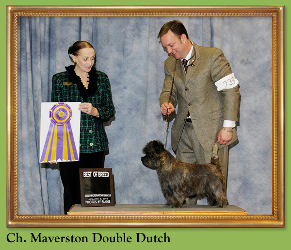 Ch. Maverston Double Dutch
