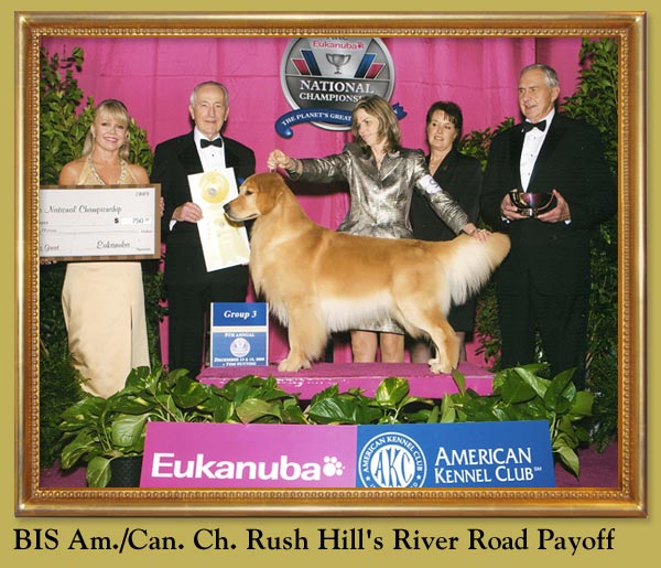 BIS Am/Can Ch. Rush Hill's River Road Payoff