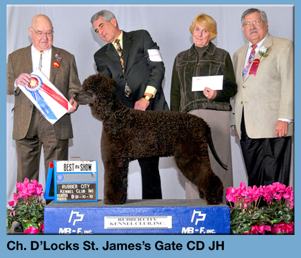 Ch. D'Locks St. James's Gate CD JH