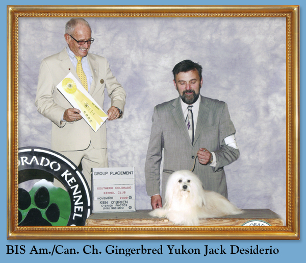 BIS Am./Can. Ch. Gingerbred Yukon Jack Desiderio