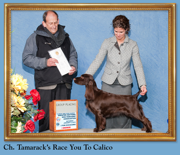 Ch. Tamarack's Race You to Calico