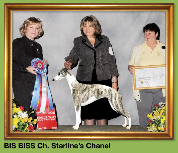 BIS BISS Ch. Starline's Chanel