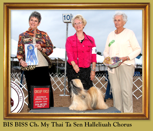 BIS BISS Ch. My Thai Ta Sen Halleliuah Chorus