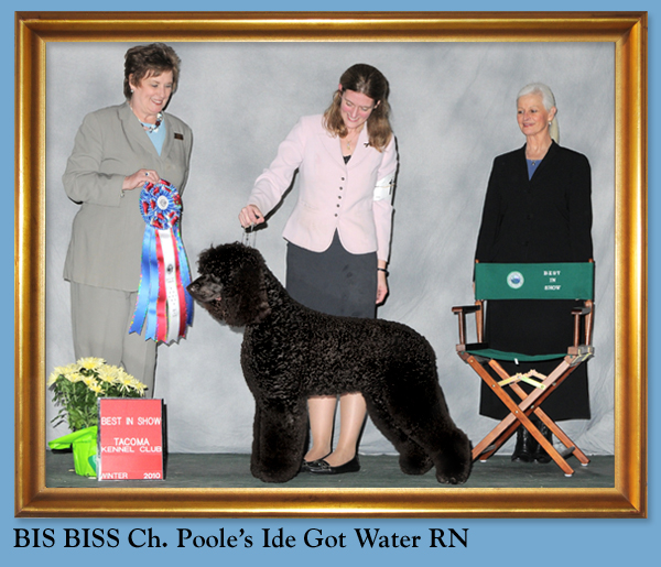 BIS BISS Ch. Poole's Ide Got Water RN