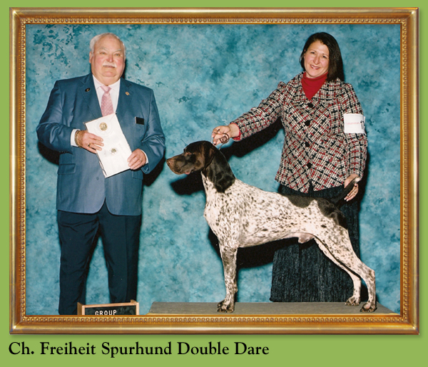 Ch. Freiheit Spurhund Double Dare