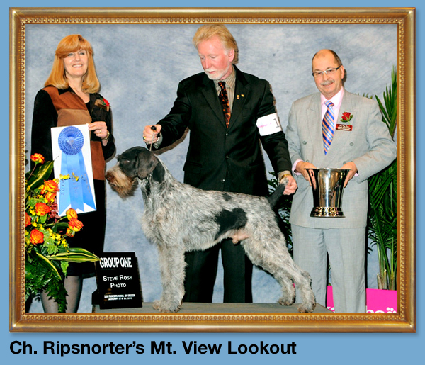 Ch. Ripsnorter's Mt. View Lookout