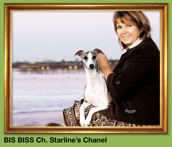 BIS BISS Ch. Starline's Chanel