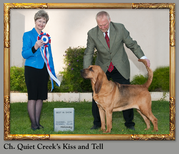 Ch.Quiet Creek's Kiss and Tell