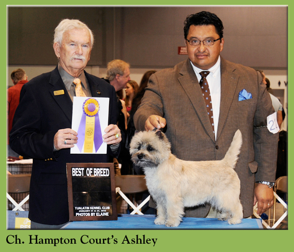 Ch. Hampton Court's Ashley