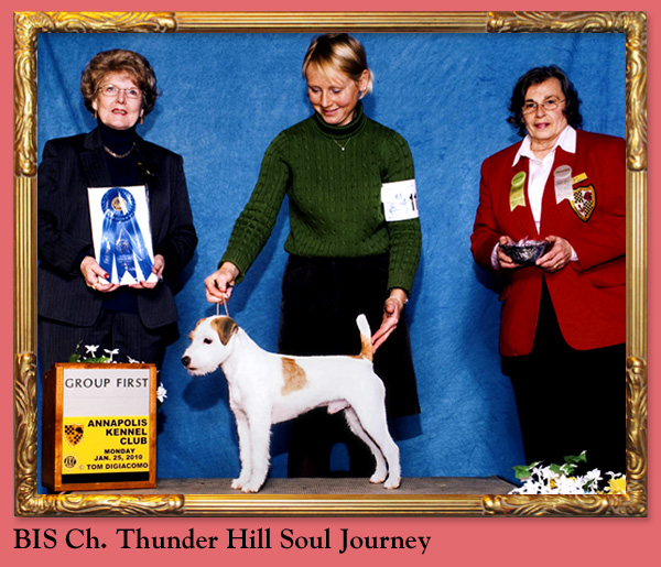 BIS Ch. Thunder Hill Soul Journey