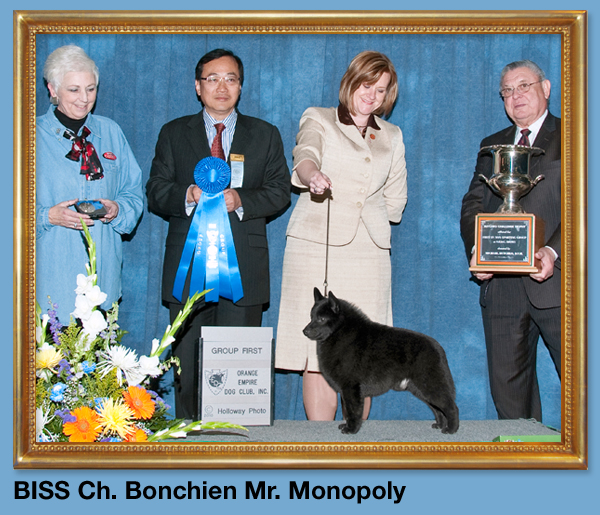 BISS Ch. Bonchien Mr. Monopoly