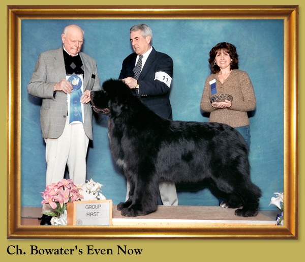 Ch. Bowater's Even Now