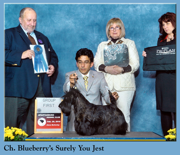 Ch. Blueberry's Surely You Jest