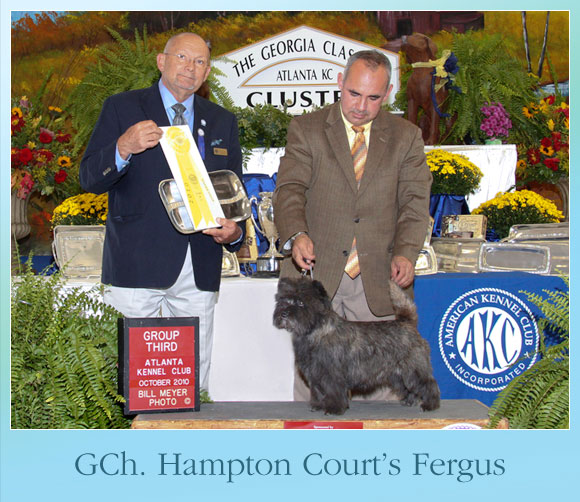 The Weekly Winners Gallery from The AKC