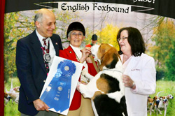 Bred-by-Exhibitor Best in Show