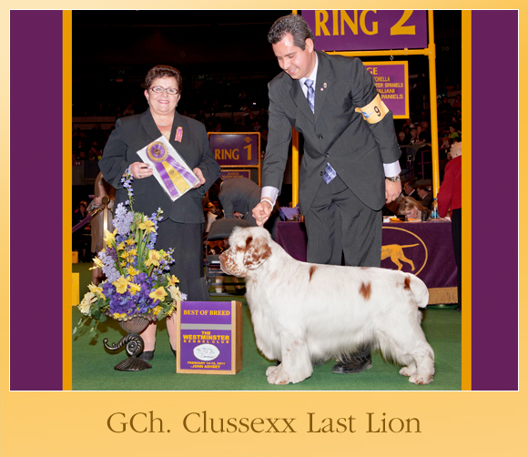 The Weekly Winners Gallery from The AKC