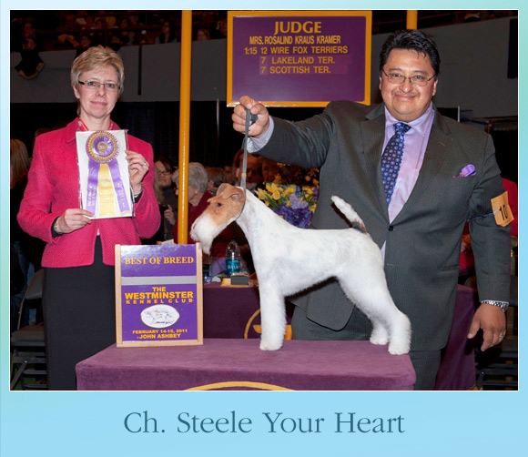 The Weekly Winners Gallery from The AKC