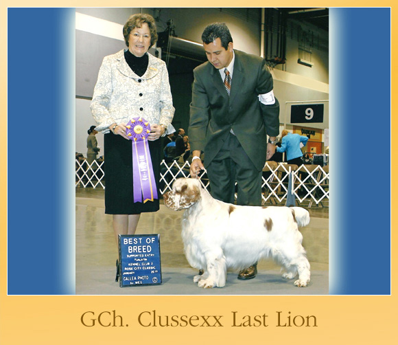 The Weekly Winners Gallery from The AKC