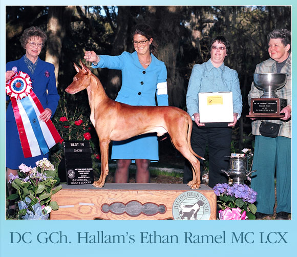 The Weekly Winners Gallery from The AKC