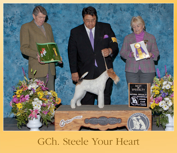 The Weekly Winners Gallery from The AKC