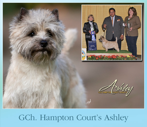 The Weekly Winners Gallery from The AKC
