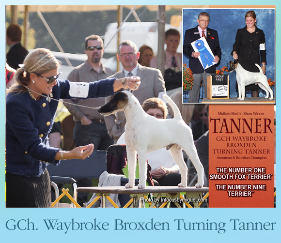 The Weekly Winners Gallery from The AKC