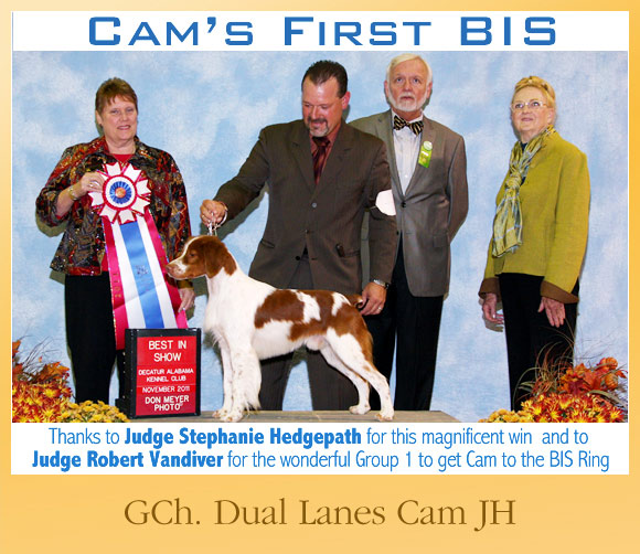 leslie desmond shih tzu the weekly winners gallery from the akc leslie desmond shih tzu the weekly winners gallery from the akc