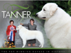 Tanner