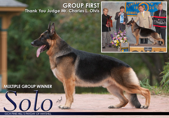dogad03pix