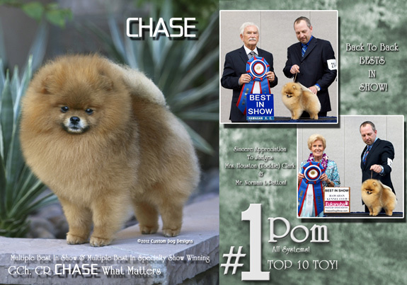 dogad04pix
