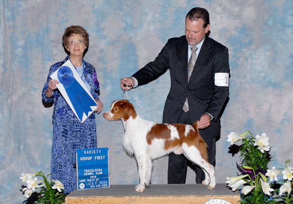 dogad13pix