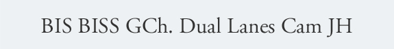dogad13txt