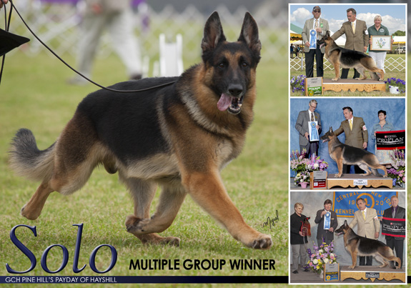 dogad03pix