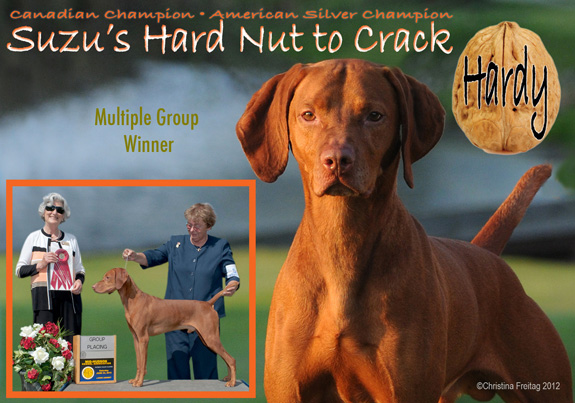 dogad04pix