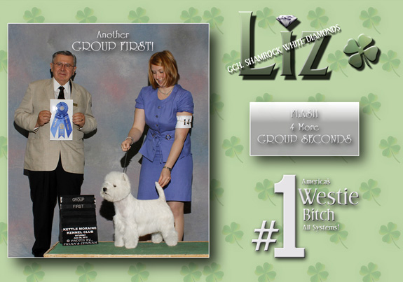 dogad01pix