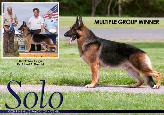 dogad03pix